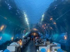 -涛·海底餐厅·美人鱼·自助餐·海底隧道(三亚海棠湾洲际度假酒店)