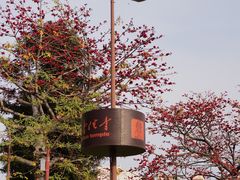 -南普陀寺