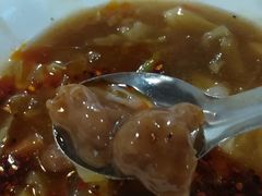 -马光荣肉丸糊辣汤(边东街店)