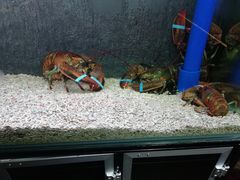 -千百味红餐厅·江西菜(绿地双子塔店)