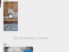 -瑞派雷欧宠物医院·24h夜诊·心脏骨科牙科·全科重症转诊中心(无影山店)