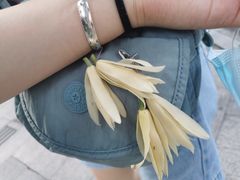 -星巴克(成都锦里店)
