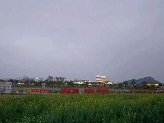 -光明小镇欢乐田园