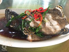 清蒸石斑鱼-清水湾3号(东方小周海鲜店)