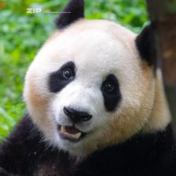 -Hair Co.一间沙龙