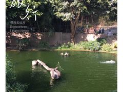 -九龙公园