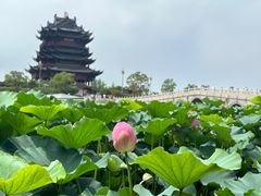 -重元寺香积厨素斋馆