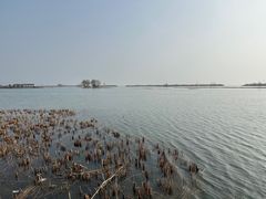 -苏州太湖湖滨国家湿地公园