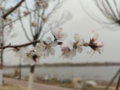 -水西公园