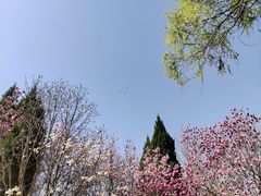 -石家庄市植物园