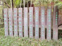 -望江楼公园