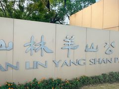-羊山湖公园