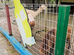 -武汉紫薇都市田园