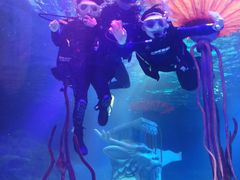 -沈阳海洋探索中心