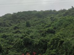 -816工程景区