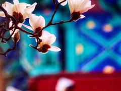 -天坛公园