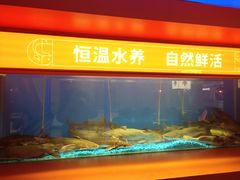 水产区-鱼上·烤鱼(万象城店)