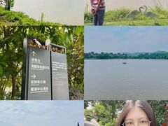 -美的鹭湖森林度假区