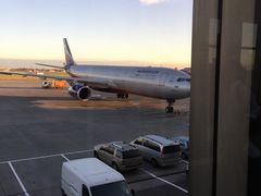 -谢列梅捷沃国际机场