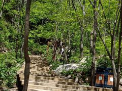 -大岭沟猕猴桃谷风景区