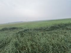 -野鸭湖国家湿地公园