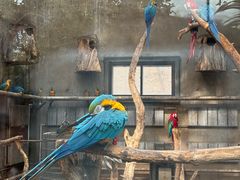 -大连森林动物园