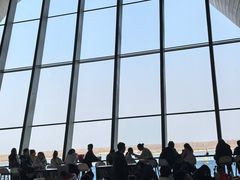 -抱抱地球咖啡馆(国家海洋博物馆店)