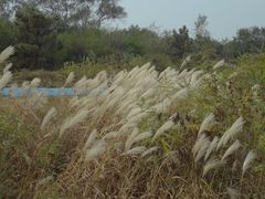 -南戴河国际娱乐中心