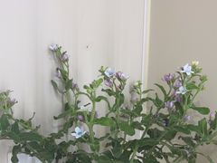 -素禅棋牌会所(海阳路店)