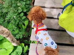 -白草畔自然风景区