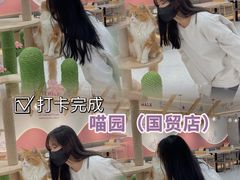 -喵园·猫主题咖啡厅·撸猫·猫咖(国贸店)