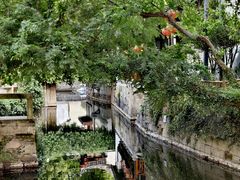 -丝绸小镇荻港古村