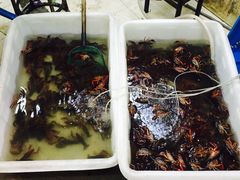 -龙虾奇迹(大华三路店)