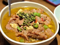 藤椒豆花牛肉-向川南·水煮鱼·川菜(和平里店)