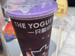 -一只酸奶牛(时代天街A馆店)