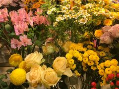 -花未央花店·WEYOUNG