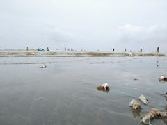 -江山半岛白浪滩景区