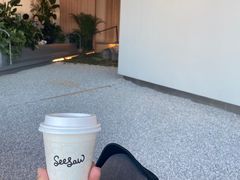 -Seesaw Coffee(朝阳大悦城店)