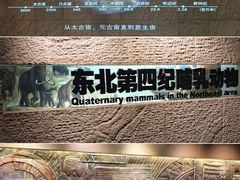 -大庆市博物馆