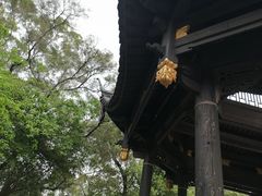 -金鸡山公园
