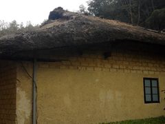 android_upload_pic-韶山毛泽东同志故居