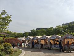 -嘉定紫藤园
