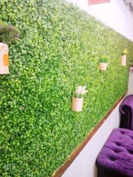 -红人馆造型十添