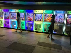 -大信·云顶星河游乐王国