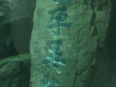 -苏州海洋馆