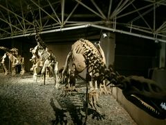 -世界恐龙谷景区