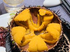 海胆-连鹭海鲜·海肠捞饭·海胆饭(星海店)