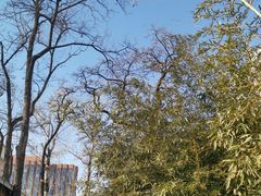 -首都医科大学附属北京友谊医院(西城院区)