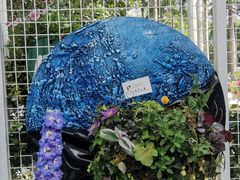 -深圳仙湖植物园