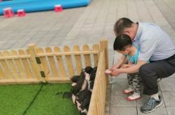 点击看大图 -萌宠亲子动物乐园(槐房万达店)